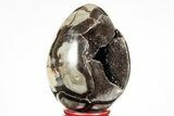 Septarian Dragon Egg Geode - Black Crystals #191501-1